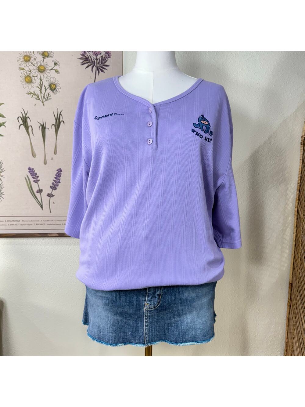 Vintage 90s Y2k Disney Winnie Pooh Eeyore Embroidered Henley Top Cutecore 3X